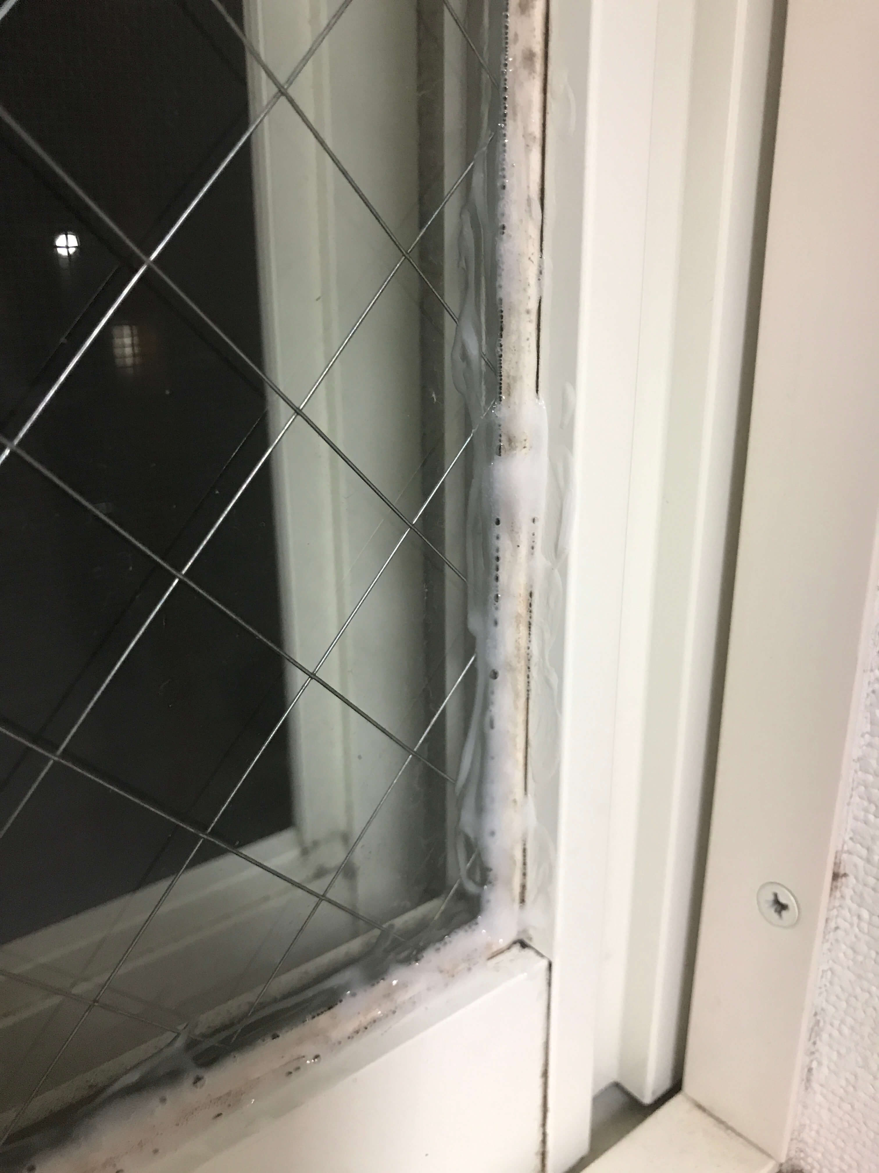 カビ取り　効果試験2